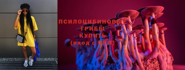 хмурый Вяземский