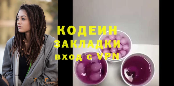 хмурый Вяземский