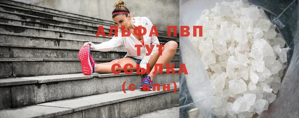 хмурый Вяземский